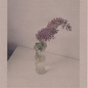 小13萝裸乳🔞无码无遮视频
